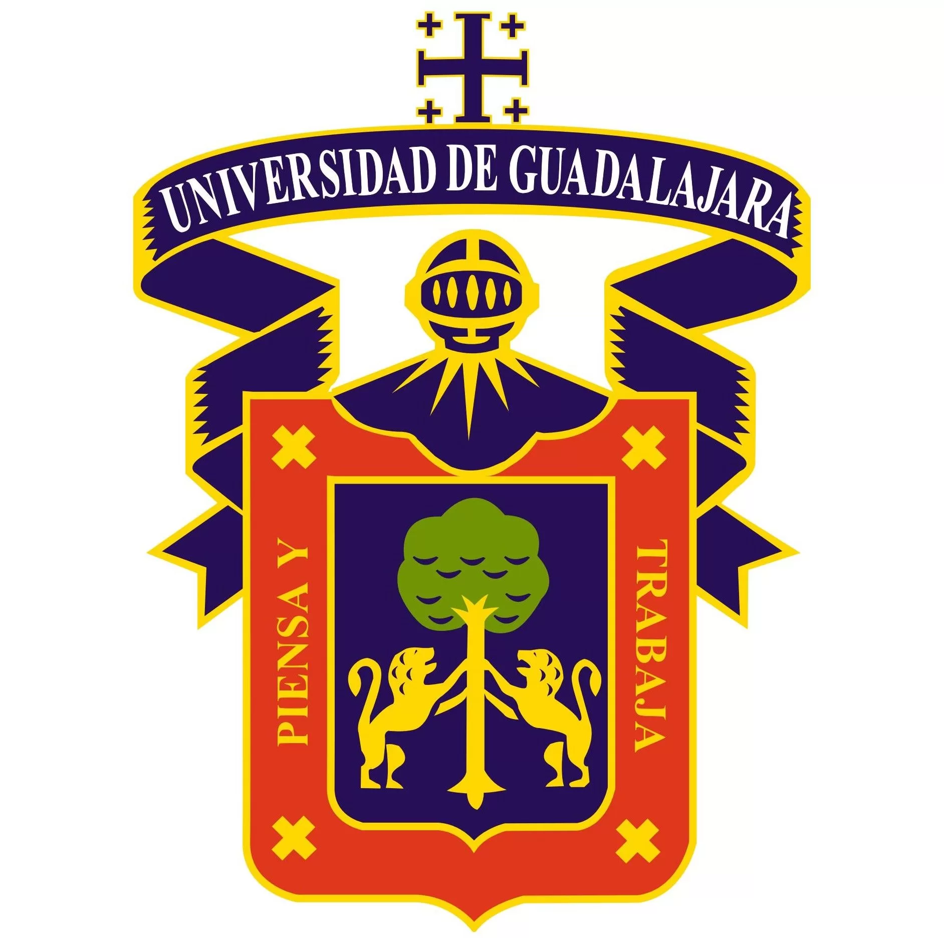 Universidad de Guadalajara Dr. Francisco Rios Cardiologo