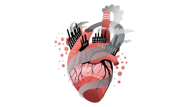 La contaminación y la salud cardiovascular: una conexión preocupante